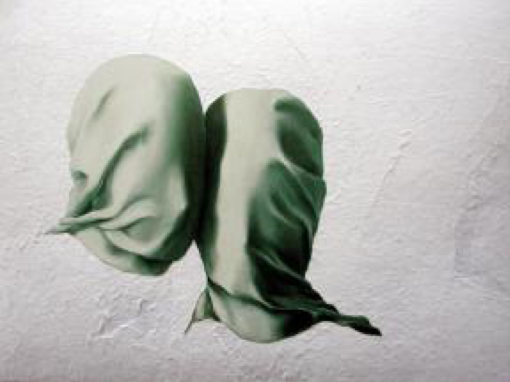 IsabelleFerreira_j'aurai plutot fait comme ça (magritte)_2003